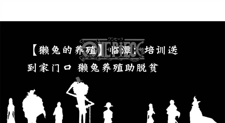 【獭兔的养殖】临潭：培训送到家门口 獭兔养殖助脱贫