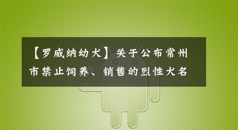 【罗威纳幼犬】关于公布常州市禁止饲养、销售的烈性犬名录的通告