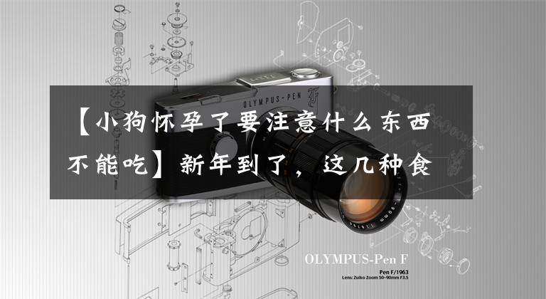 【小狗怀孕了要注意什么东西不能吃】新年到了，这几种食物不能喂狗，所以宠爱主要要注意