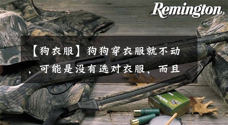 【狗衣服】狗狗穿衣服就不动，可能是没有选对衣服，而且没让它熟悉衣服
