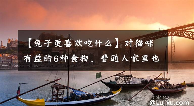 【兔子更喜欢吃什么】对猫咪有益的6种食物，普通人家里也有，可以多喂
