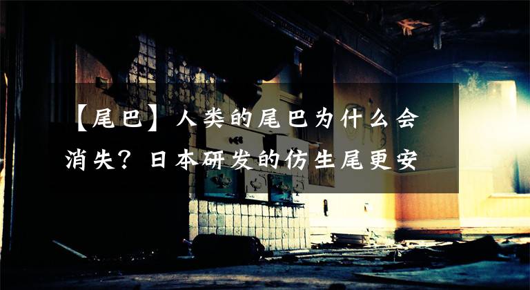【尾巴】人类的尾巴为什么会消失？日本研发的仿生尾更安全便利吗？