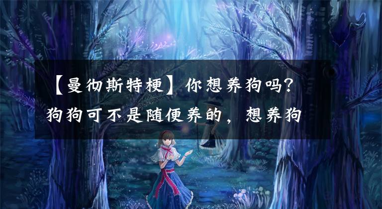 【曼彻斯特梗】你想养狗吗？狗狗可不是随便养的，想养狗你首先要知道这些