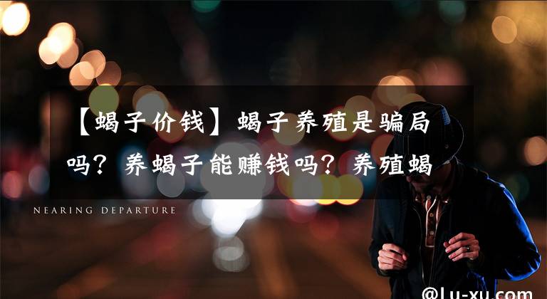 【蝎子价钱】蝎子养殖是骗局吗？养蝎子能赚钱吗？养殖蝎子效益又如何呢？