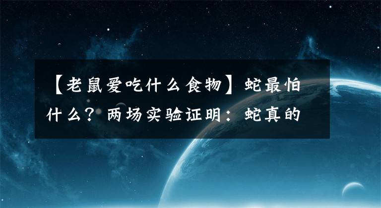 【老鼠爱吃什么食物】蛇最怕什么？两场实验证明：蛇真的不怕雄黄粉，专家说明了原因