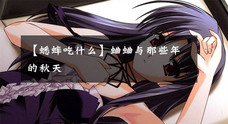 【蟋蟀吃什么】蛐蛐与那些年的秋天