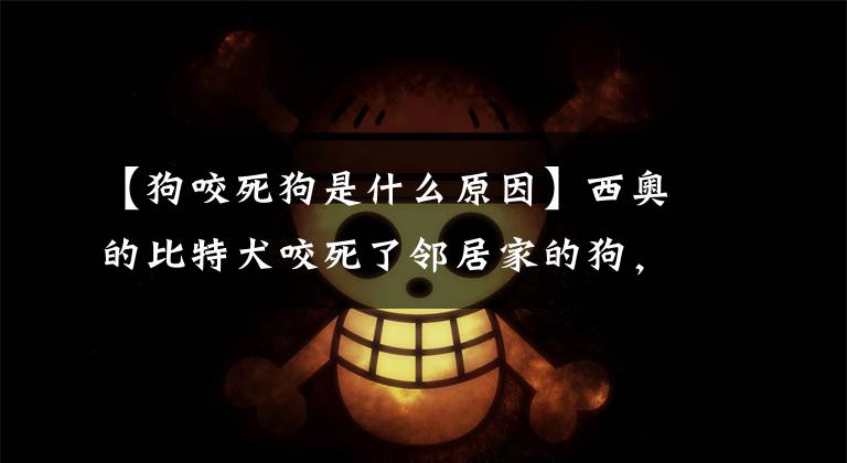 【狗咬死狗是什么原因】西奥的比特犬咬死了邻居家的狗，还可能被指控疏于管理。