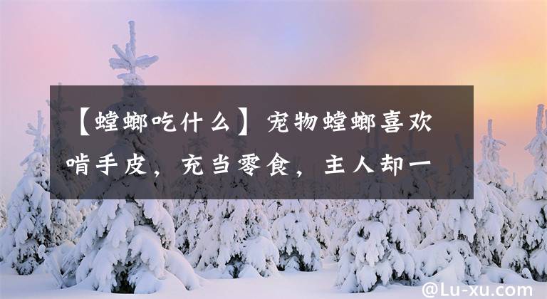 【螳螂吃什么】宠物螳螂喜欢啃手皮，充当零食，主人却一脸享受样子