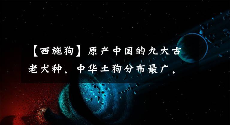 【西施狗】原产中国的九大古老犬种，中华土狗分布最广，看看你家是哪一种？