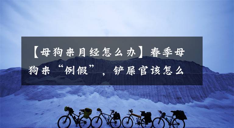 【母狗来月经怎么办】春季母狗来“例假”，铲屎官该怎么照顾好它？