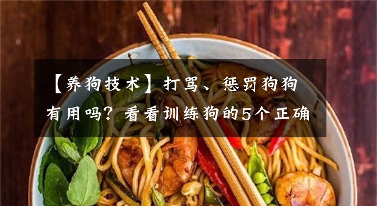 【养狗技术】打骂、惩罚狗狗有用吗？看看训练狗的5个正确方法