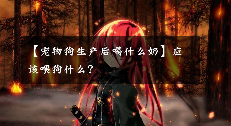 【宠物狗生产后喝什么奶】应该喂狗什么？