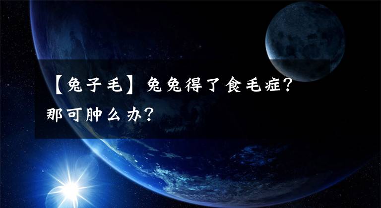 【兔子毛】兔兔得了食毛症？那可肿么办？