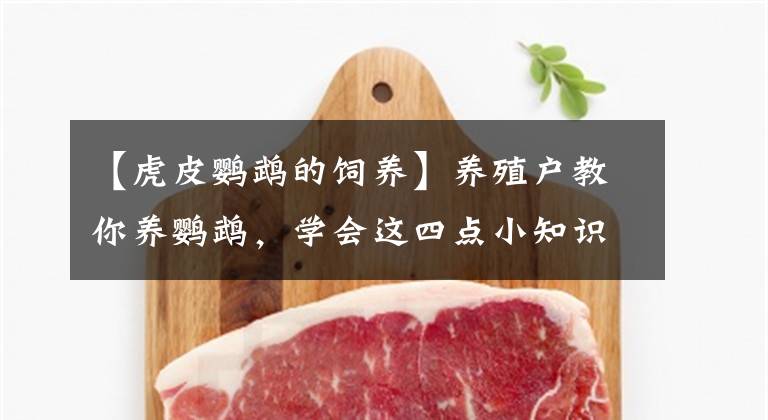 【虎皮鹦鹉的饲养】养殖户教你养鹦鹉，学会这四点小知识，你家鹦鹉体质好不生病
