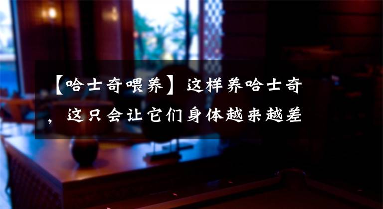 【哈士奇喂养】这样养哈士奇，这只会让它们身体越来越差