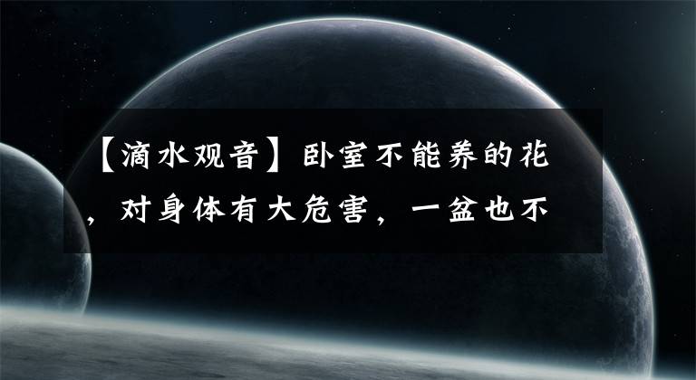 【滴水观音】卧室不能养的花，对身体有大危害，一盆也不行
