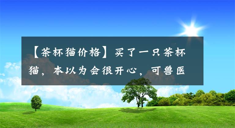 【茶杯猫价格】买了一只茶杯猫，本以为会很开心，可兽医的话让她再也笑不出来了