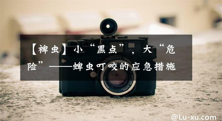 【裨虫】小“黑点”，大“危险”——蜱虫叮咬的应急措施和预防