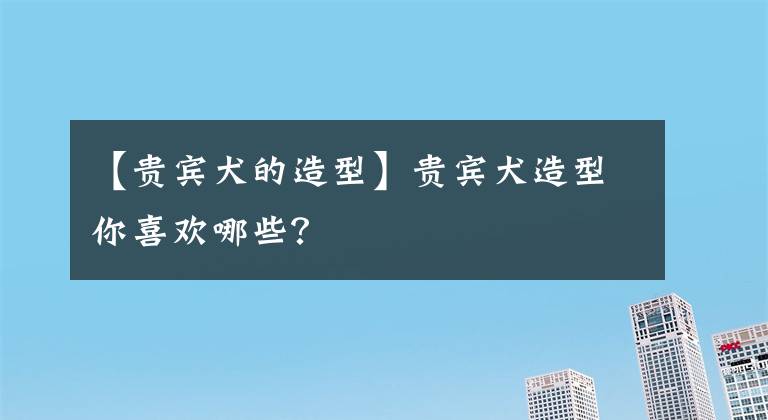 【贵宾犬的造型】贵宾犬造型你喜欢哪些？