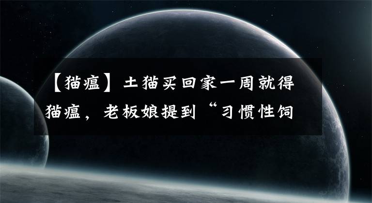【猫瘟】土猫买回家一周就得猫瘟，老板娘提到“习惯性饲养”？