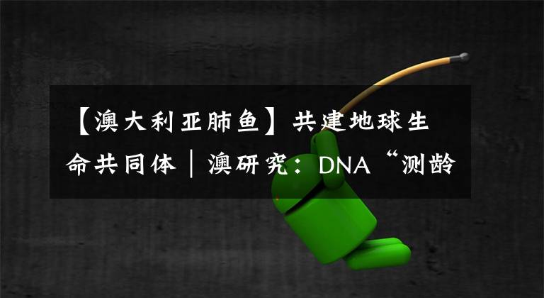 【澳大利亚肺鱼】共建地球生命共同体｜澳研究：DNA“测龄”新技术有利于鱼类种群管理