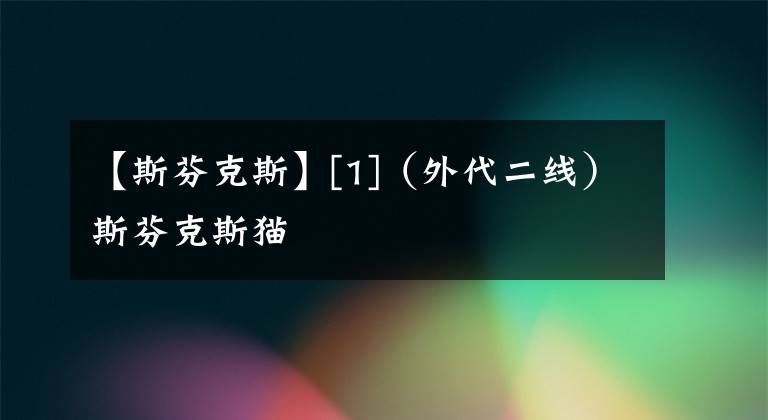 【斯芬克斯】[1]（外代二线）斯芬克斯猫