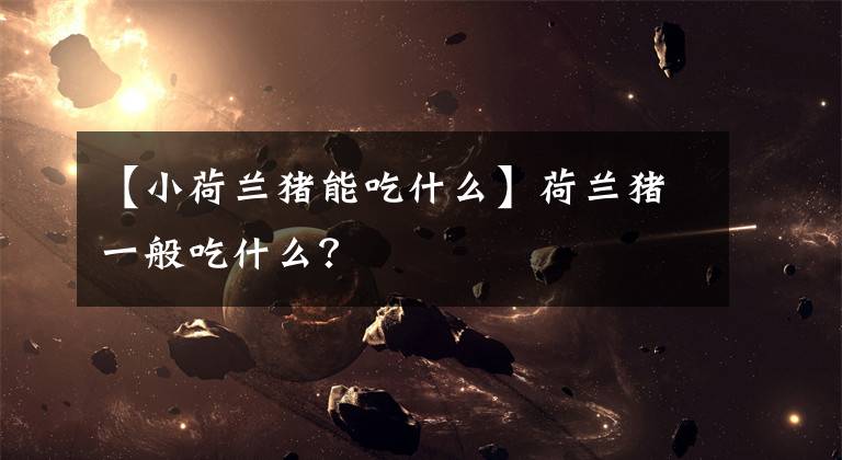 【小荷兰猪能吃什么】荷兰猪一般吃什么？