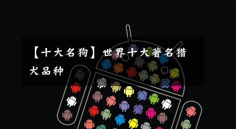 【十大名狗】世界十大著名猎犬品种