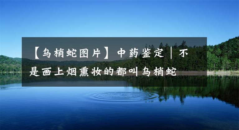 【乌梢蛇图片】中药鉴定｜不是画上烟熏妆的都叫乌梢蛇