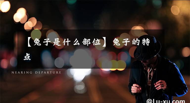 【兔子是什么部位】兔子的特点