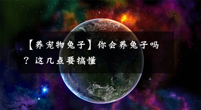 【养宠物兔子】你会养兔子吗？这几点要搞懂
