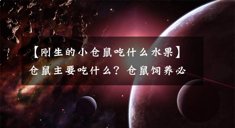 【刚生的小仓鼠吃什么水果】仓鼠主要吃什么？仓鼠饲养必须了解仓鼠饮食习惯