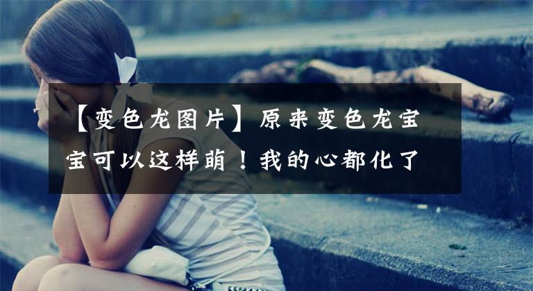 【变色龙图片】原来变色龙宝宝可以这样萌！我的心都化了……｜科学美图