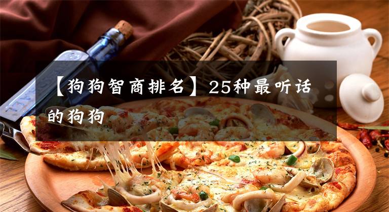 【狗狗智商排名】25种最听话的狗狗