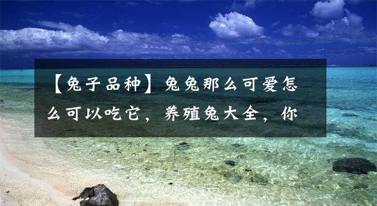 【兔子品种】兔兔那么可爱怎么可以吃它，养殖兔大全，你最喜欢哪只