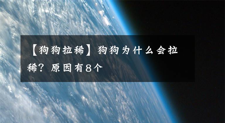 【狗狗拉稀】狗狗为什么会拉稀？原因有8个