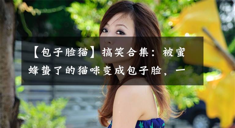 【包子脸猫】搞笑合集：被蜜蜂蛰了的猫咪变成包子脸，一脸委屈