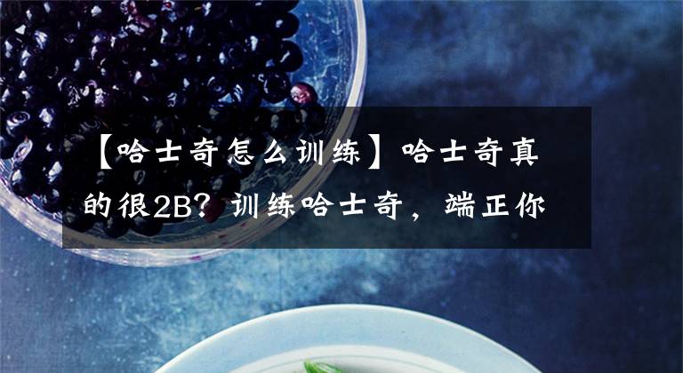 【哈士奇怎么训练】哈士奇真的很2B？训练哈士奇，端正你的训练态度