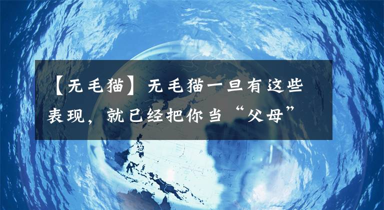 【无毛猫】无毛猫一旦有这些表现，就已经把你当“父母”了