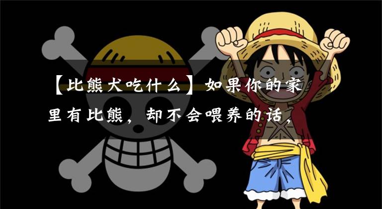 【比熊犬吃什么】如果你的家里有比熊，却不会喂养的话，这篇文章一定要收藏下来