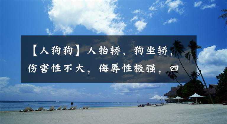 【人狗狗】人抬轿，狗坐轿，伤害性不大，侮辱性极强，四川狗坐轿事件引争议