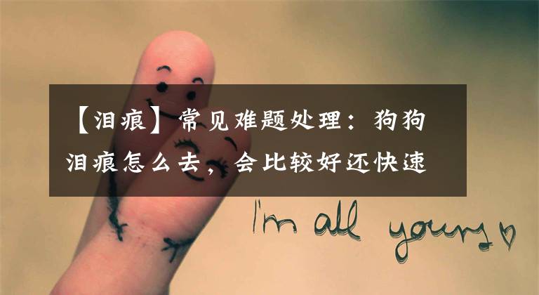 【泪痕】常见难题处理：狗狗泪痕怎么去，会比较好还快速？
