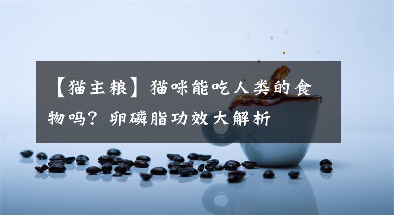 【猫主粮】猫咪能吃人类的食物吗？卵磷脂功效大解析