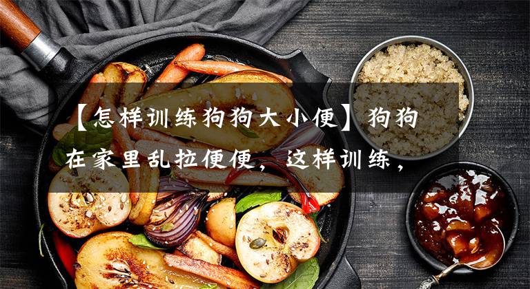 【怎样训练狗狗大小便】狗狗在家里乱拉便便，这样训练，三天学会定点上厕所