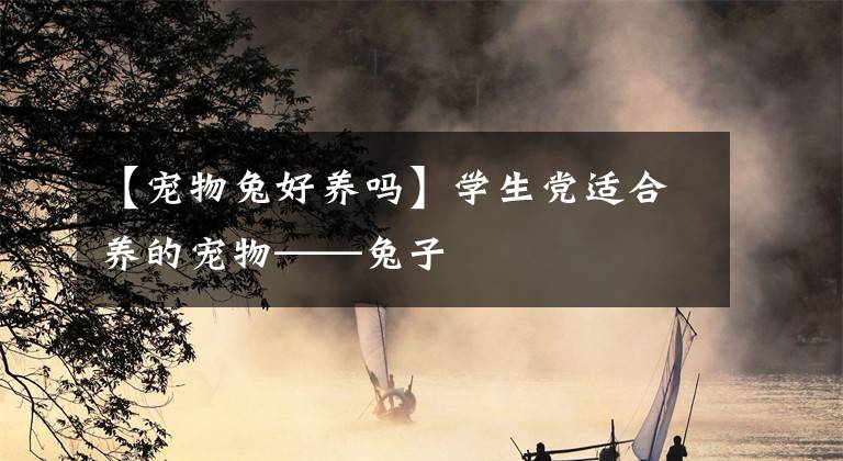 【宠物兔好养吗】学生党适合养的宠物——兔子