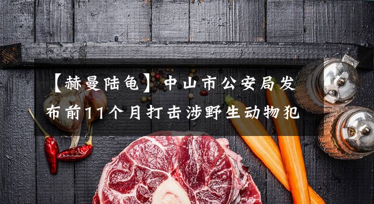 【赫曼陆龟】中山市公安局发布前11个月打击涉野生动物犯罪战果和典型案例