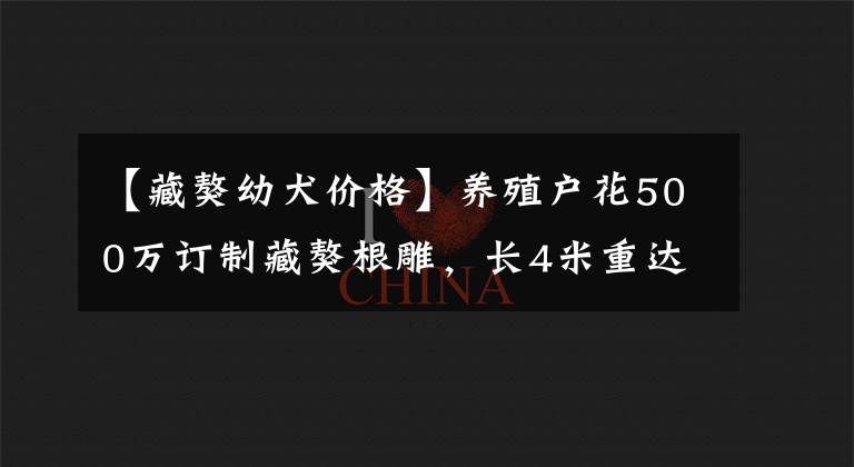 【藏獒幼犬价格】养殖户花500万订制藏獒根雕，长4米重达3吨，如今“烂”成废柴