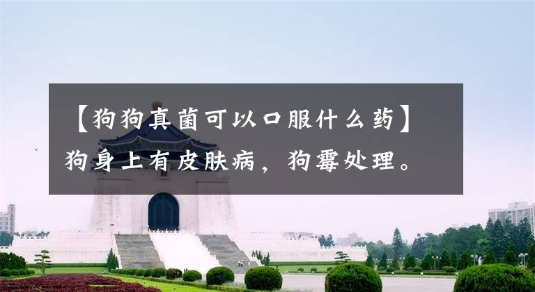 【狗狗真菌可以口服什么药】狗身上有皮肤病，狗霉处理。