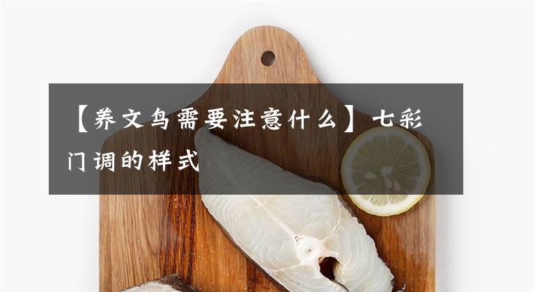 【养文鸟需要注意什么】七彩门调的样式