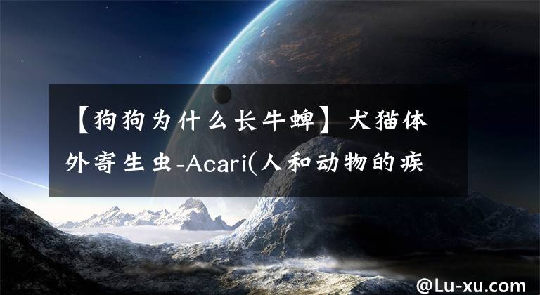 【狗狗为什么长牛蜱】犬猫体外寄生虫-Acari(人和动物的疾病)